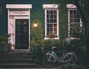 mur végétal de maison avec vélo