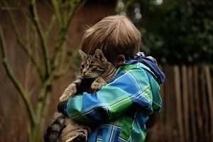 chat tigré dans les bras d'un enfant