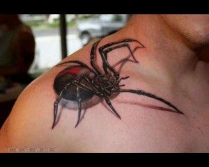 19415-3d-spider-tattoo-w630vitamin-ha-vitamin-tattoo-design-1280x1024-300x240