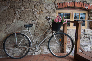 Old bicycle carrying flowers ttp://barnimages.com/