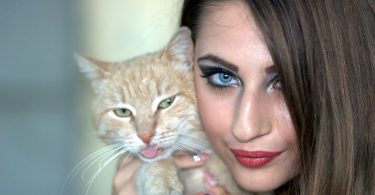 felle brune aux yeux bleus portant un chat orange et blanc