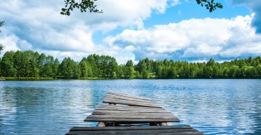 ponton devant un lac dans un parc