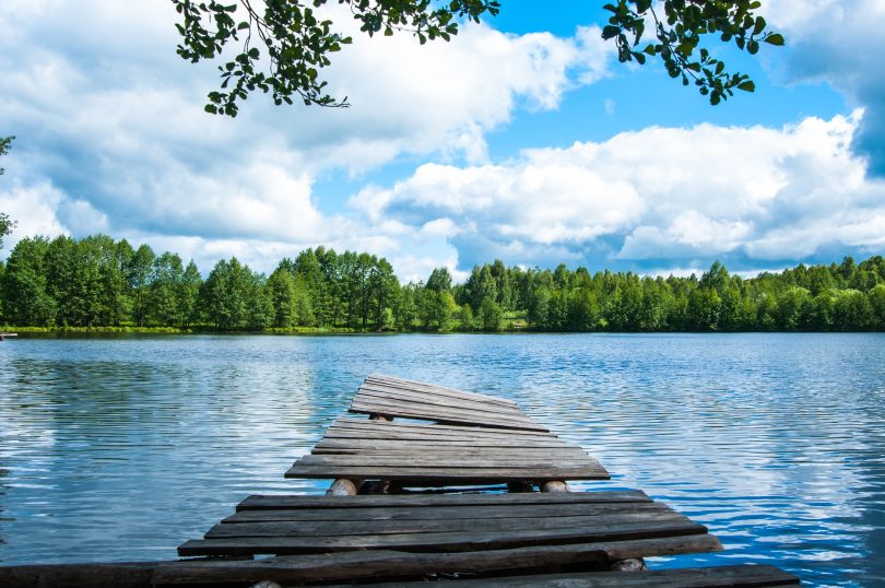 ponton devant un lac dans un parc