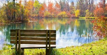 paysage d'automne avec des arbres et des feuilles oranges et vertes devant un lac et un banc en bois