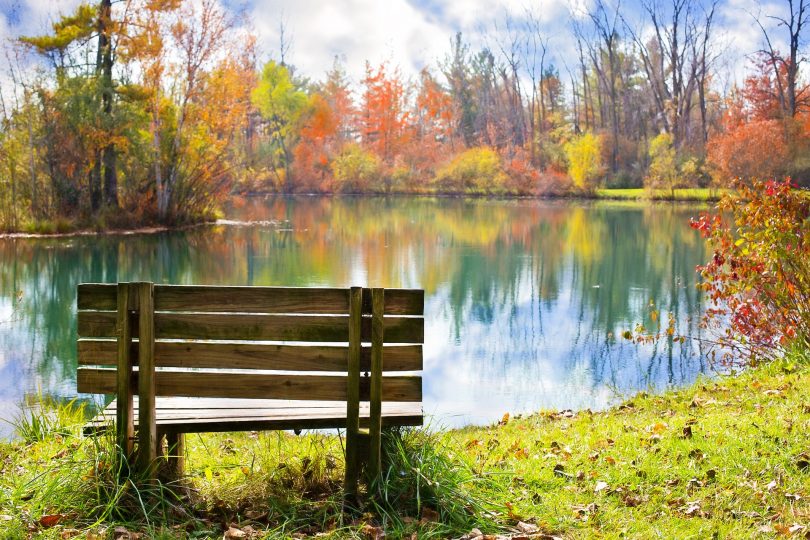 paysage d'automne avec des arbres et des feuilles oranges et vertes devant un lac et un banc en bois