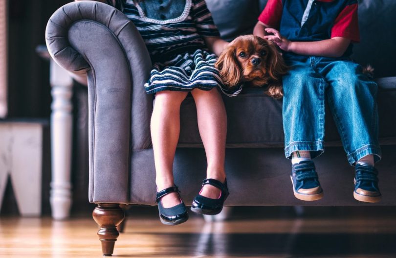 deux enfants avec un chien assis sur un canapé