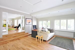 salon avec plancher en bois et canapé