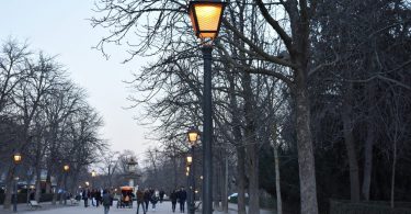 lampadaire allumé dans un parc