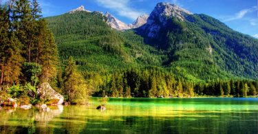 vue sur lac dans un parc vert