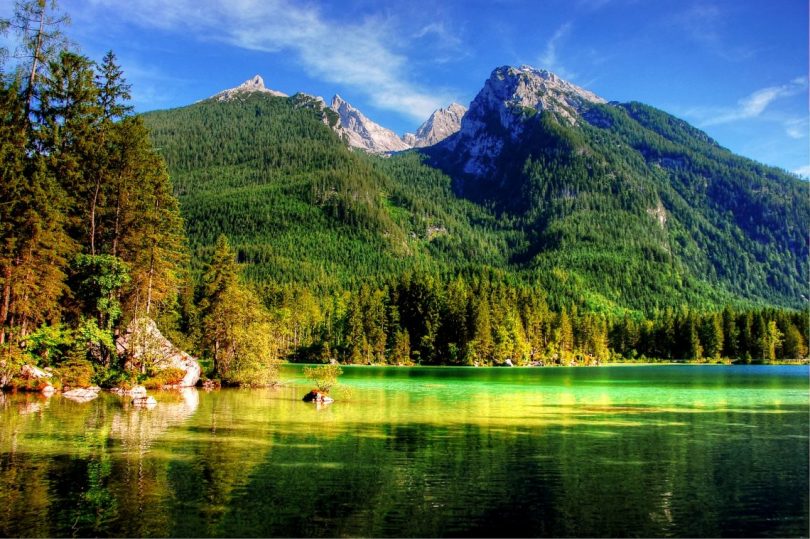 vue sur lac dans un parc vert